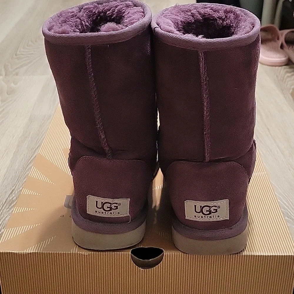Classic UGG short - Picture 3 of 7